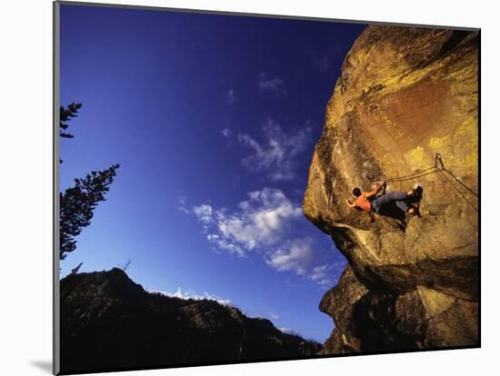 Short Subject Donner Summit California, USA-null-Mounted Photographic Print