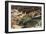 Short Tailed Shrew and Common Shrew-Louis Agassiz Fuertes-Framed Giclee Print