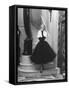 Short Wrap, Worn with Short Ball Gowns, Showing Off the Wearer's Waist-Nina Leen-Framed Stretched Canvas