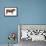 Shorthorn Bull, Beef Cattle, Mammals-Encyclopaedia Britannica-Framed Stretched Canvas displayed on a wall