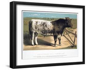 Shorthorn Bull Ironclad, 1875-null-Framed Giclee Print