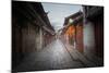 Shortly after Sunrise, Lijiang Old Town, UNESCO World Heritage Site, Lijiang, Yunnan, China, Asia-Andreas Brandl-Mounted Photographic Print
