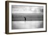 Shortwave-Sharon Wish-Framed Photographic Print