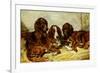 Shot and His Friends - Three Irish Red and White Setters, 1876-John Emms-Framed Giclee Print