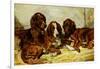 Shot and His Friends - Three Irish Red and White Setters, 1876-John Emms-Framed Giclee Print