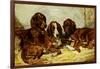 Shot and His Friends - Three Irish Red and White Setters, 1876-John Emms-Framed Giclee Print