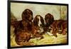 Shot and His Friends - Three Irish Red and White Setters, 1876-John Emms-Framed Giclee Print