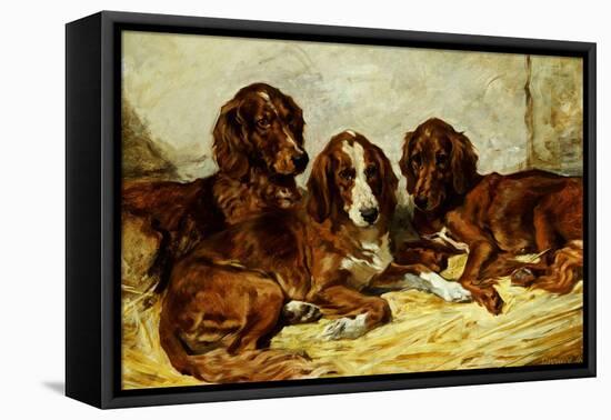 Shot and His Friends - Three Irish Red and White Setters, 1876-John Emms-Framed Stretched Canvas