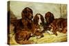 Shot and His Friends - Three Irish Red and White Setters, 1876-John Emms-Stretched Canvas