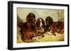 Shot and His Friends - Three Irish Red and White Setters, 1876-John Emms-Framed Giclee Print