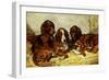 Shot and His Friends - Three Irish Red and White Setters, 1876-John Emms-Framed Giclee Print