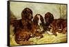 Shot and His Friends - Three Irish Red and White Setters, 1876-John Emms-Framed Stretched Canvas