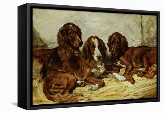 Shot and His Friends, Three Irish Red and White Setters, 1876-John Emms-Framed Stretched Canvas