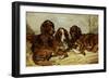 Shot and His Friends, Three Irish Red and White Setters, 1876-John Emms-Framed Giclee Print