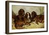 Shot and His Friends, Three Irish Red and White Setters, 1876-John Emms-Framed Giclee Print