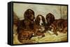 Shot and His Friends, Three Irish Red and White Setters, 1876-John Emms-Framed Stretched Canvas