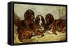 Shot and His Friends, Three Irish Red and White Setters, 1876-John Emms-Framed Stretched Canvas