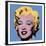 Shot Blue Marilyn, c.1964-Andy Warhol-Framed Giclee Print