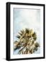 Black Frame