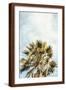 Brown Frame