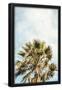 Essential Black