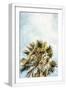 White Frame