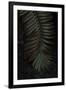 Gramercy Black