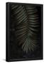 Essential Black