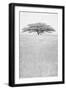 Black Frame