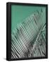 Essential Black