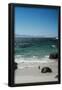 Essential Black