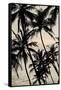 Canvas Black