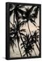 Essential Black