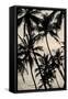 Canvas Black