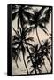 Canvas Black