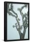 Essential Black