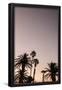 Essential Black