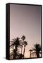 Canvas Black