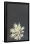 Essential Black