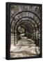 Essential Black