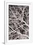 Gramercy White