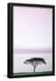 Essential Black