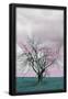 Essential Black