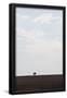 Essential Black