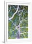 Gramercy White