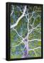 Essential Black