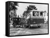 Shot of Bus and Automobile in Collision-null-Framed Stretched Canvas