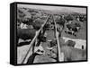 Shot of Cattle Feeding System-Philip Gendreau-Framed Stretched Canvas