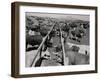 Shot of Cattle Feeding System-Philip Gendreau-Framed Photographic Print