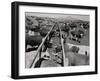 Shot of Cattle Feeding System-Philip Gendreau-Framed Photographic Print